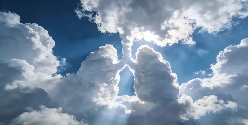 常德肺癌11基因检测组织版图片1