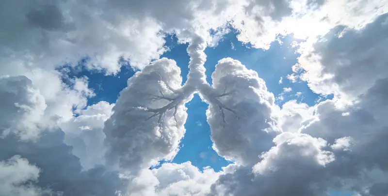 肺癌11基因检测组织版图4