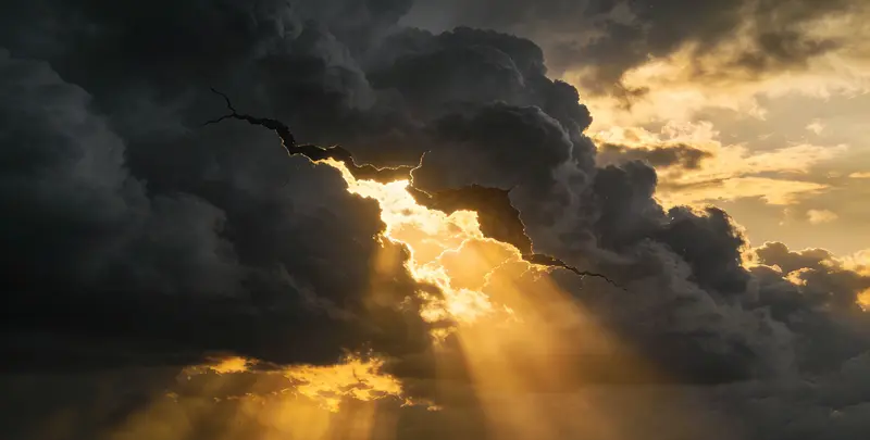 常德肺癌靶向120基因检测（组织）图片1