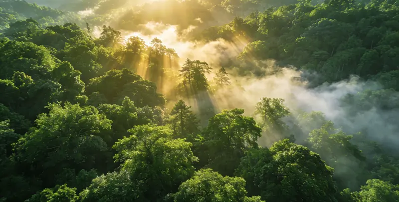 常德肺癌119基因检测图片1