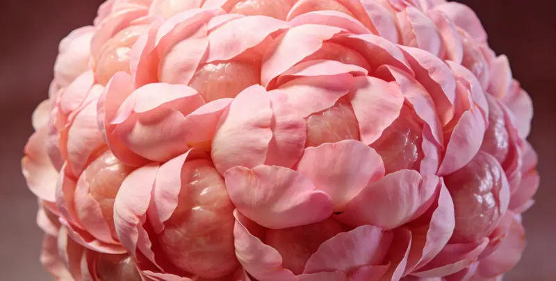 常德BRCA1/2乳腺癌卵巢癌基因检测图片1